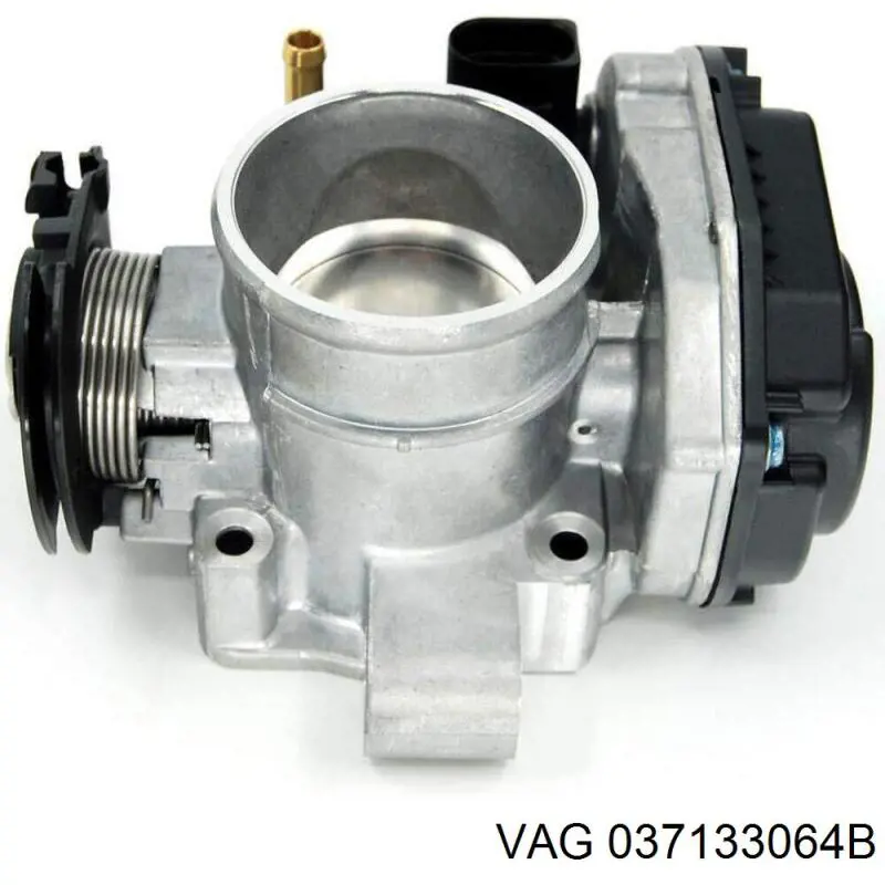  037133064B VAG