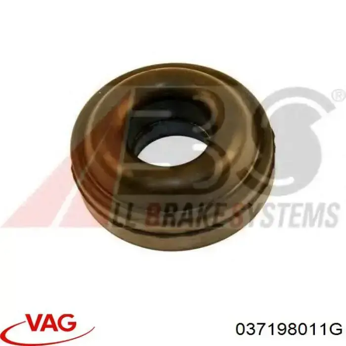 Комплект прокладок двигуна, нижній VAG 037198011G ціна, від 60.10 USD