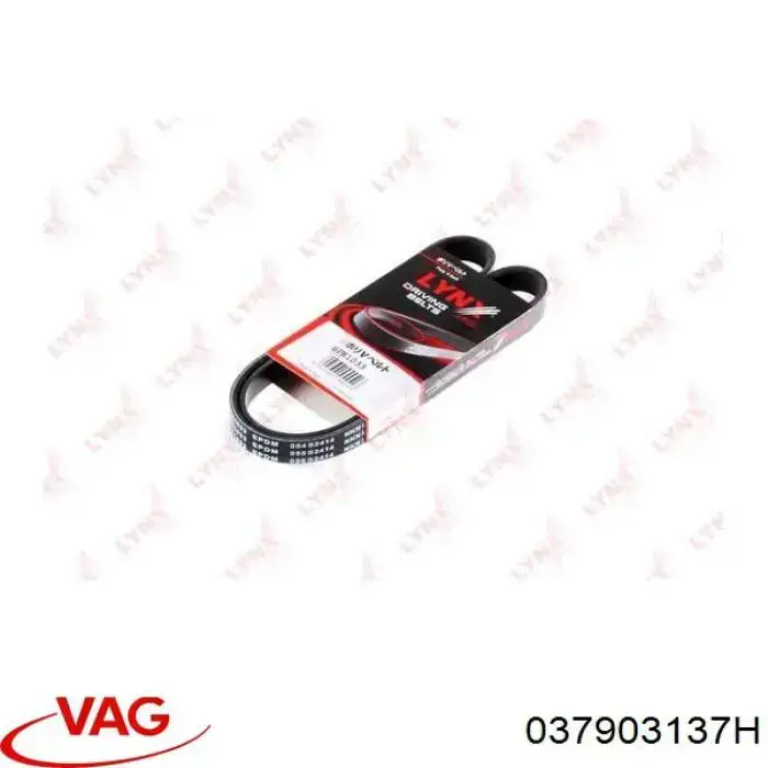 Клиновий ремінь VAG 037903137H ціна, від 8.81 USD
