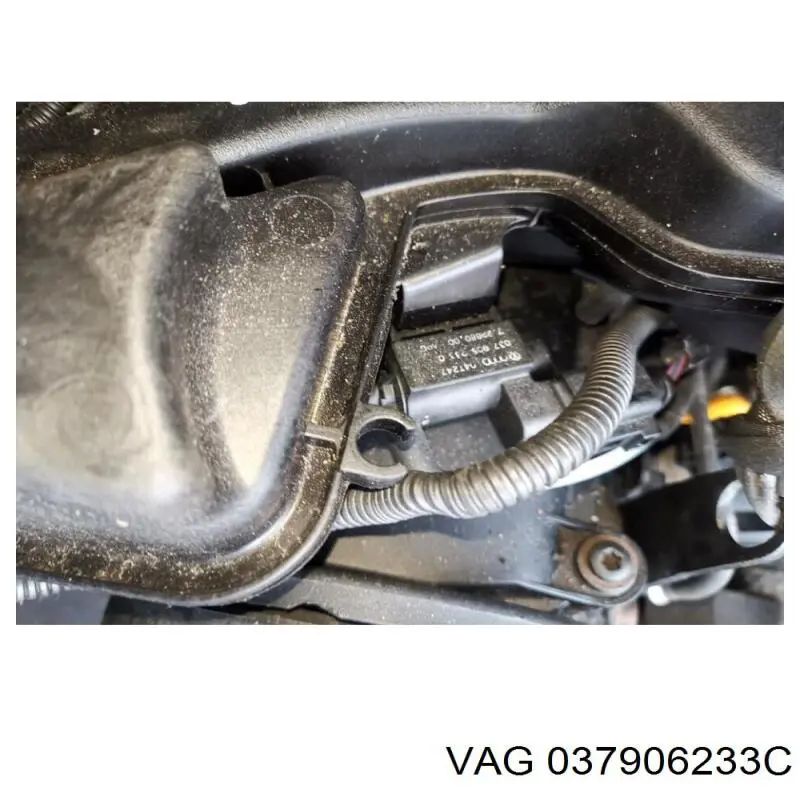 037906233C VAG 