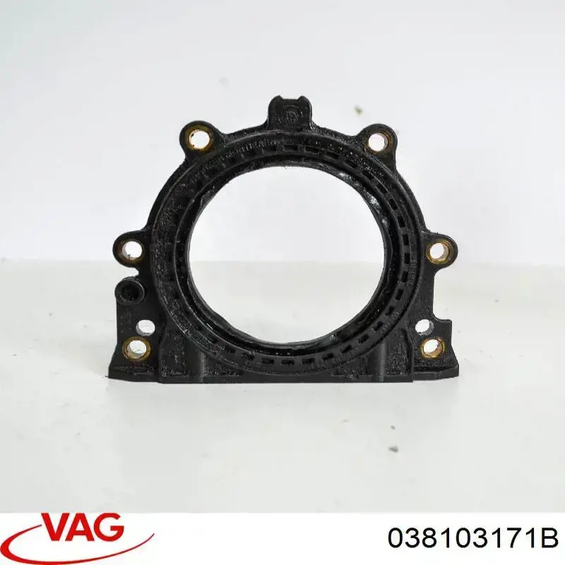 Купити 038103171B VAG Сальник колінвала задній