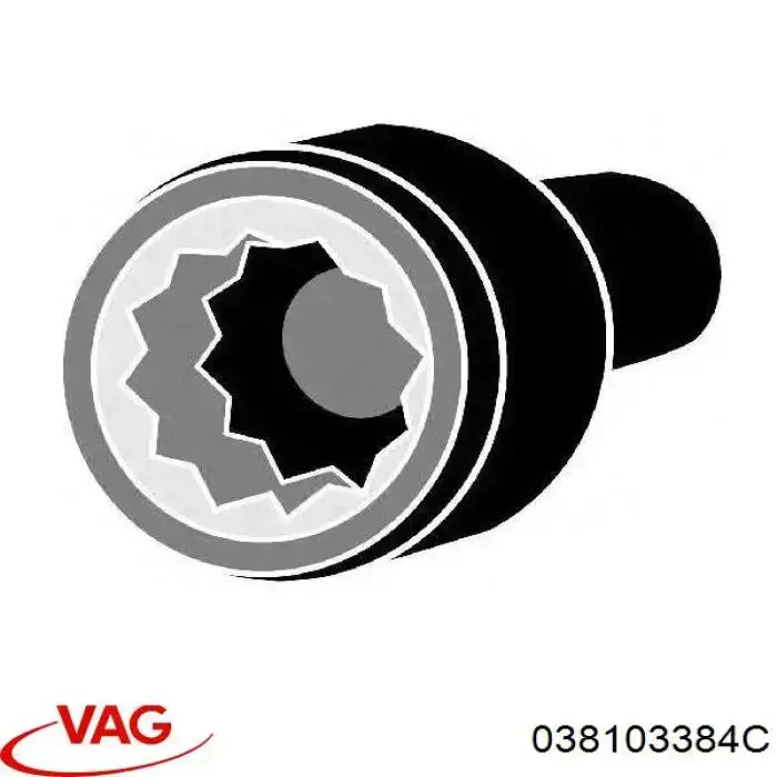 Купити 038103384C VAG Болт гбц