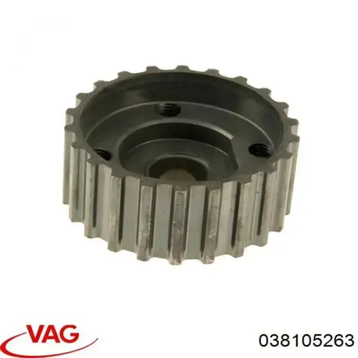  038105263 VAG