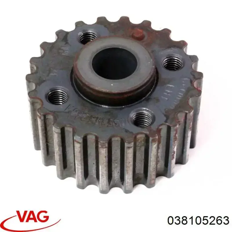 038105263 VAG 