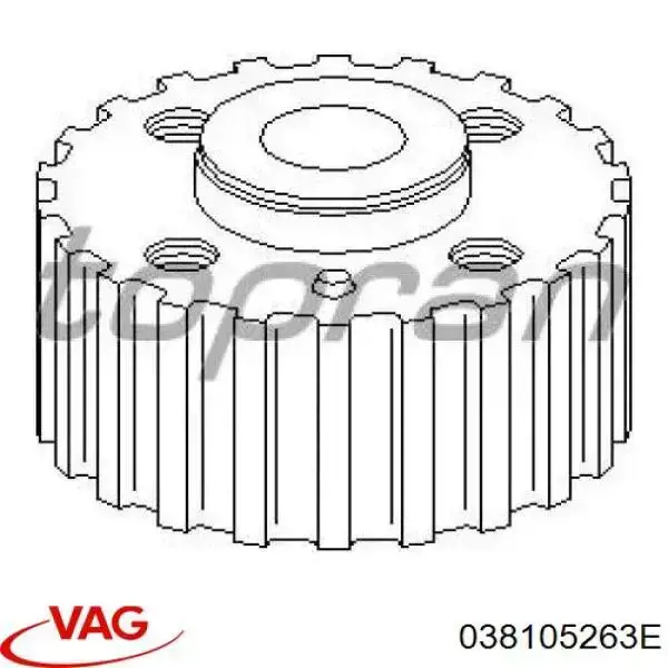 038105263E VAG Зірка кщленвала вала