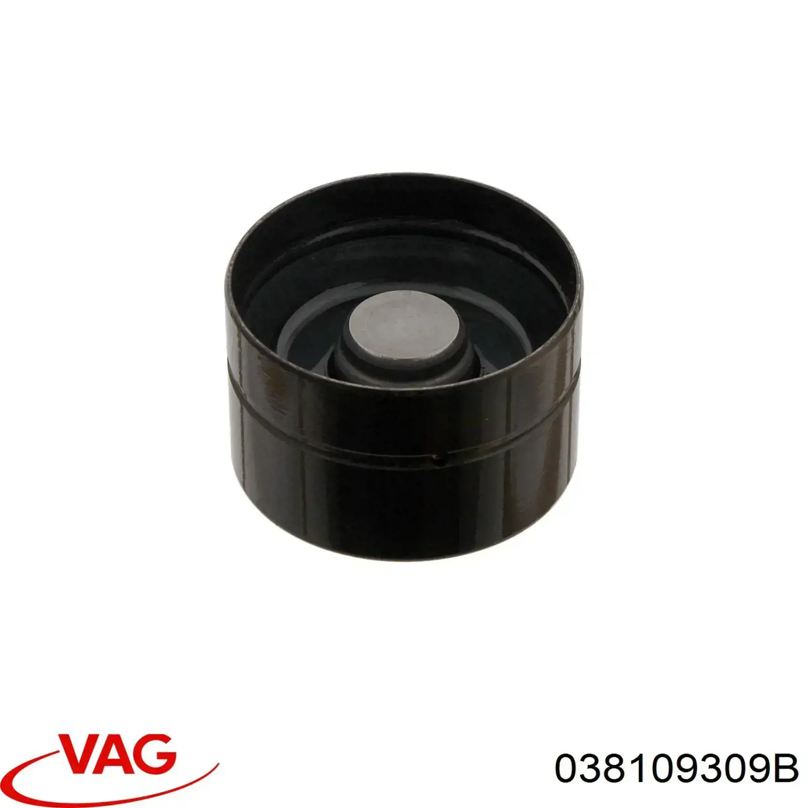 038109309B VAG Гідрокомпенсатор