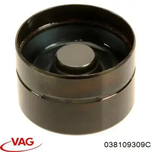 Гідрокомпенсатор 038109309C VAG