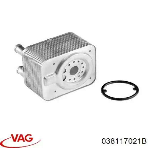 038117021B VAG радіатор масляний (холодильник, під фільтром)