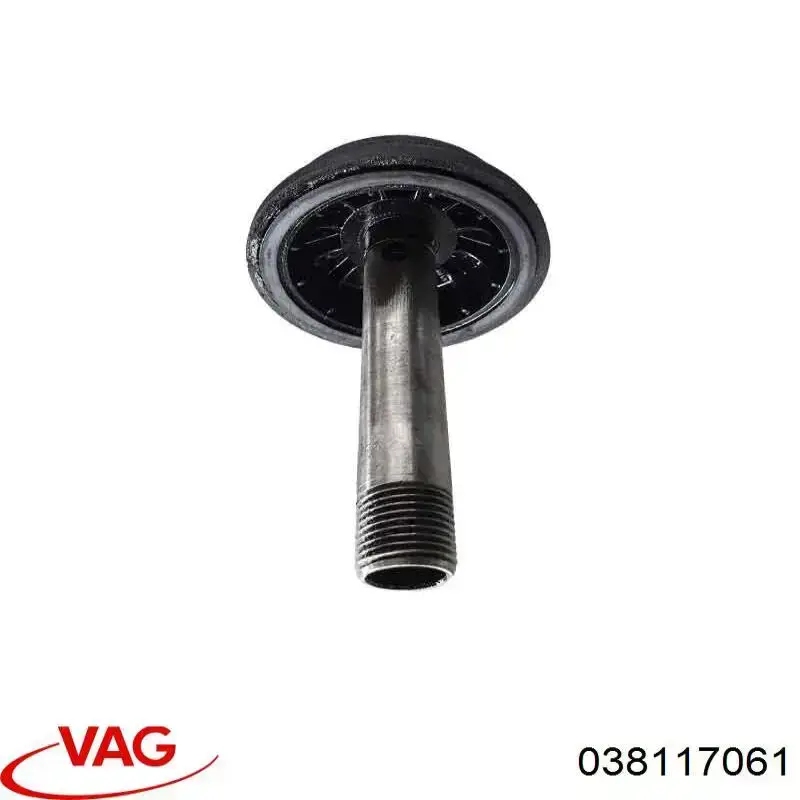 Купити 038117061 VAG Кришка масляного фільтра