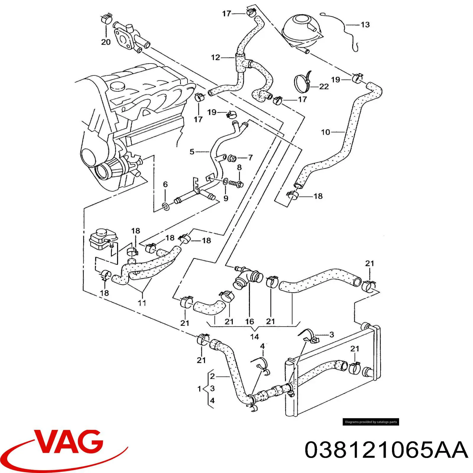 038121065AA VAG 