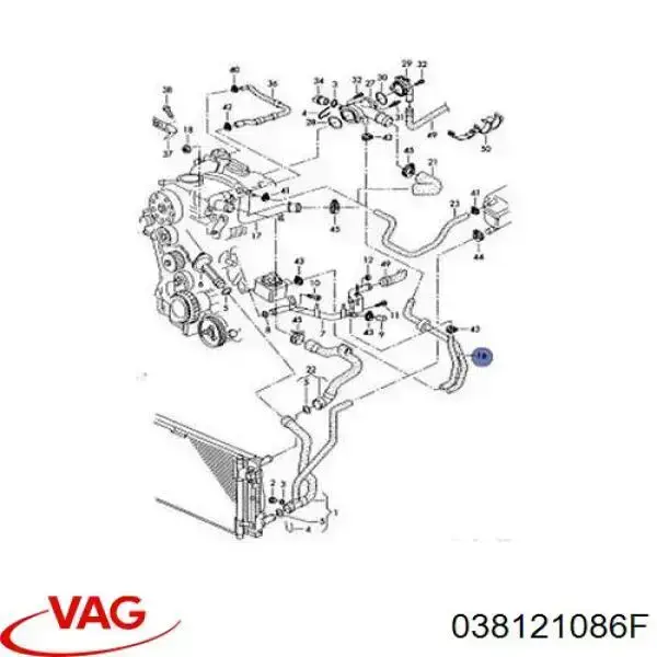 Шланг/патрубок системи охолодження Thermotec DNW019TT ціна, від 14.75 USD