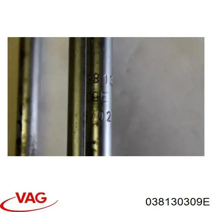 Купити 038130309E VAG 