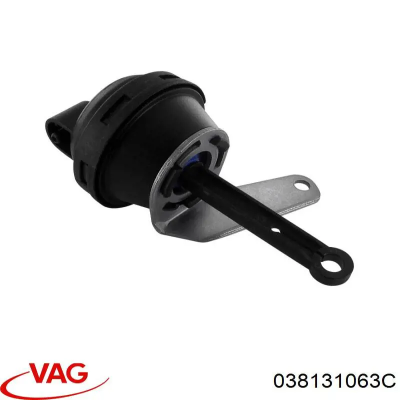  VAG 038131063C ціна, від 18.34 USD