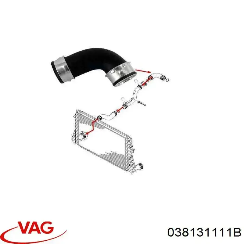  038131111B VAG