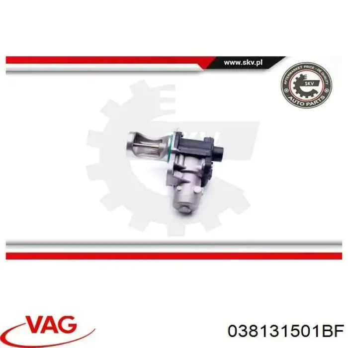Клапан ЄГР 038131501BF VAG