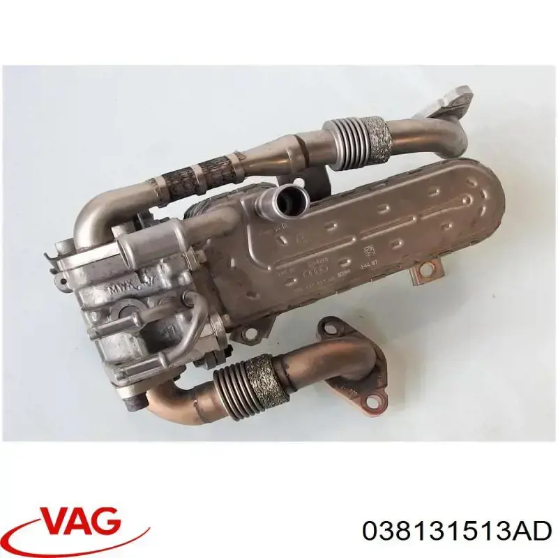 Радіатор системи EGR рециркуляції вихлопних газів 038131513AD VAG