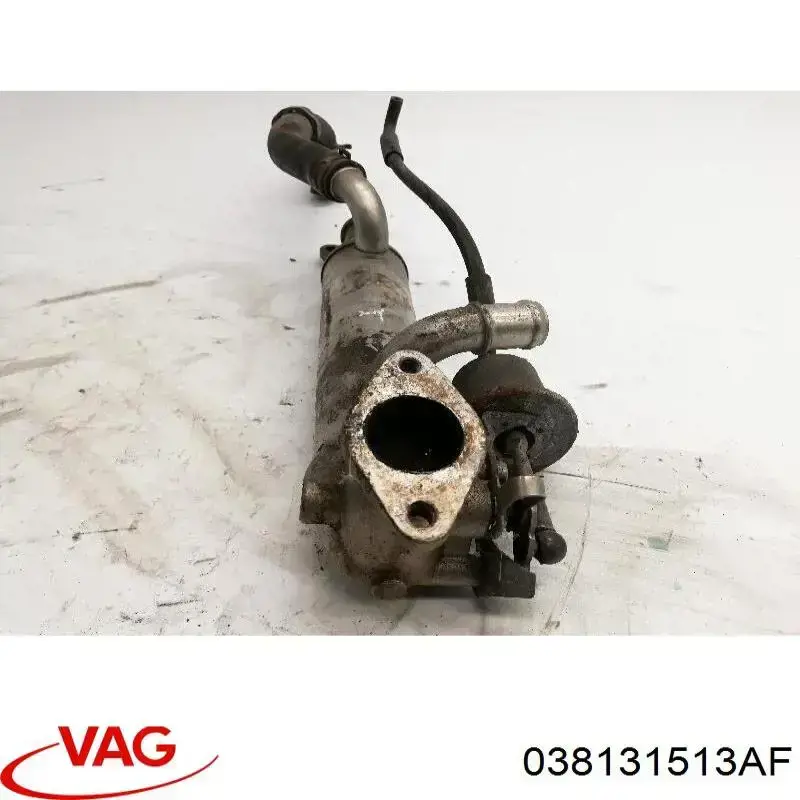 Купити 038131513AF VAG Радіатор системи EGR рециркуляції вихлопних газів