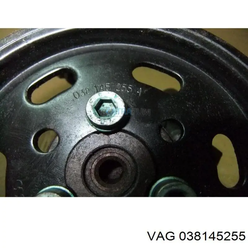  038145255 VAG