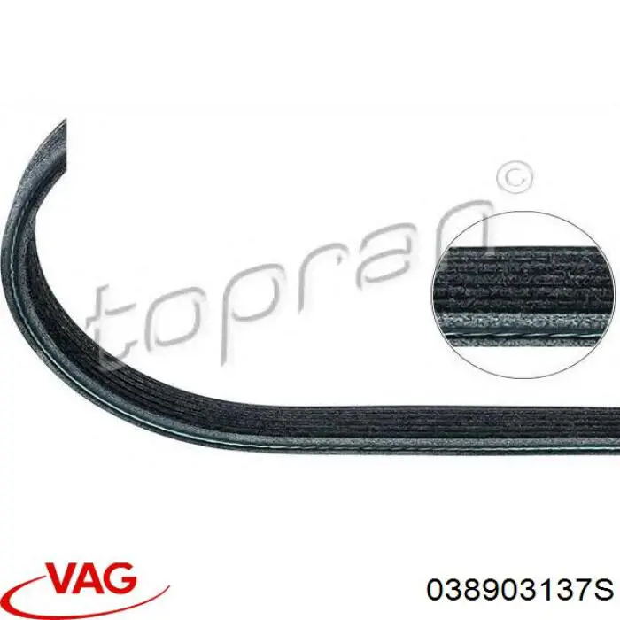 Купити 038903137S VAG Ремінь генератора