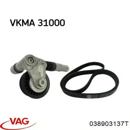 Купити 038903137T VAG Ремінь генератора