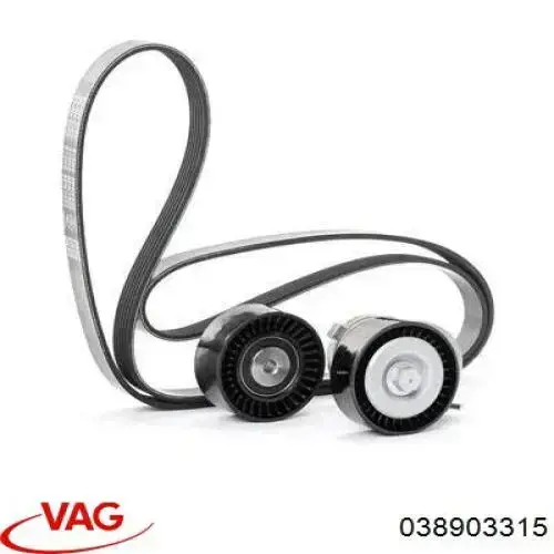 Натягувач приводного ременя 038903315 VAG