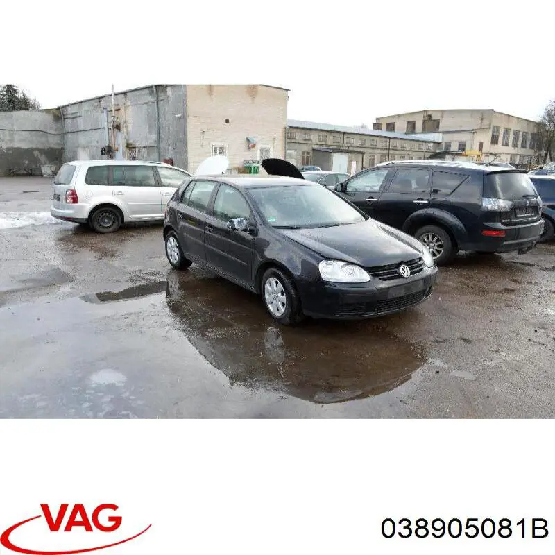  038905081B VAG