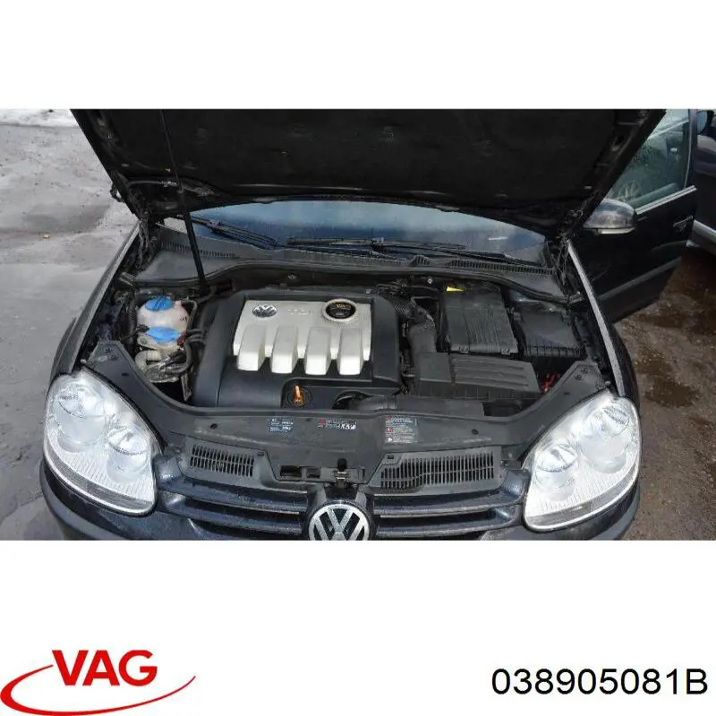 Купити 038905081B VAG 