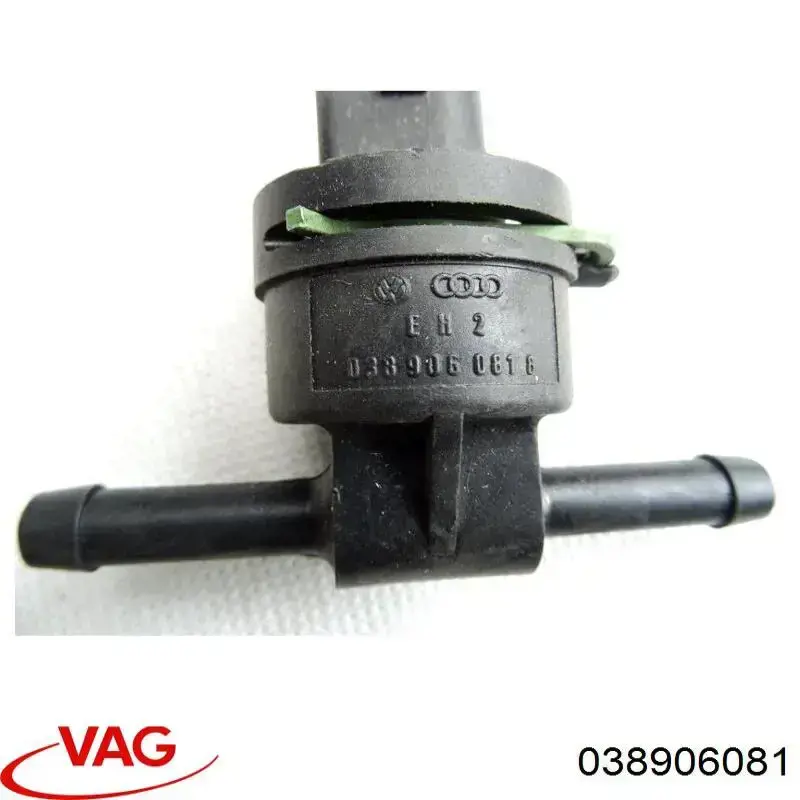 038906081 VAG 