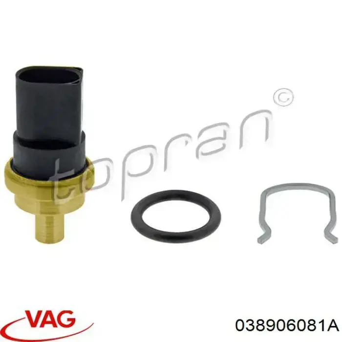 Купити 038906081A VAG Датчик температури палива