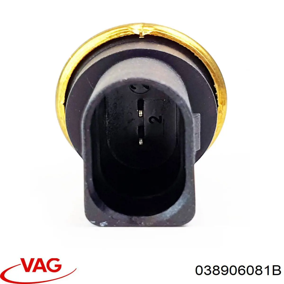 038906081B VAG датчик ТНВТ