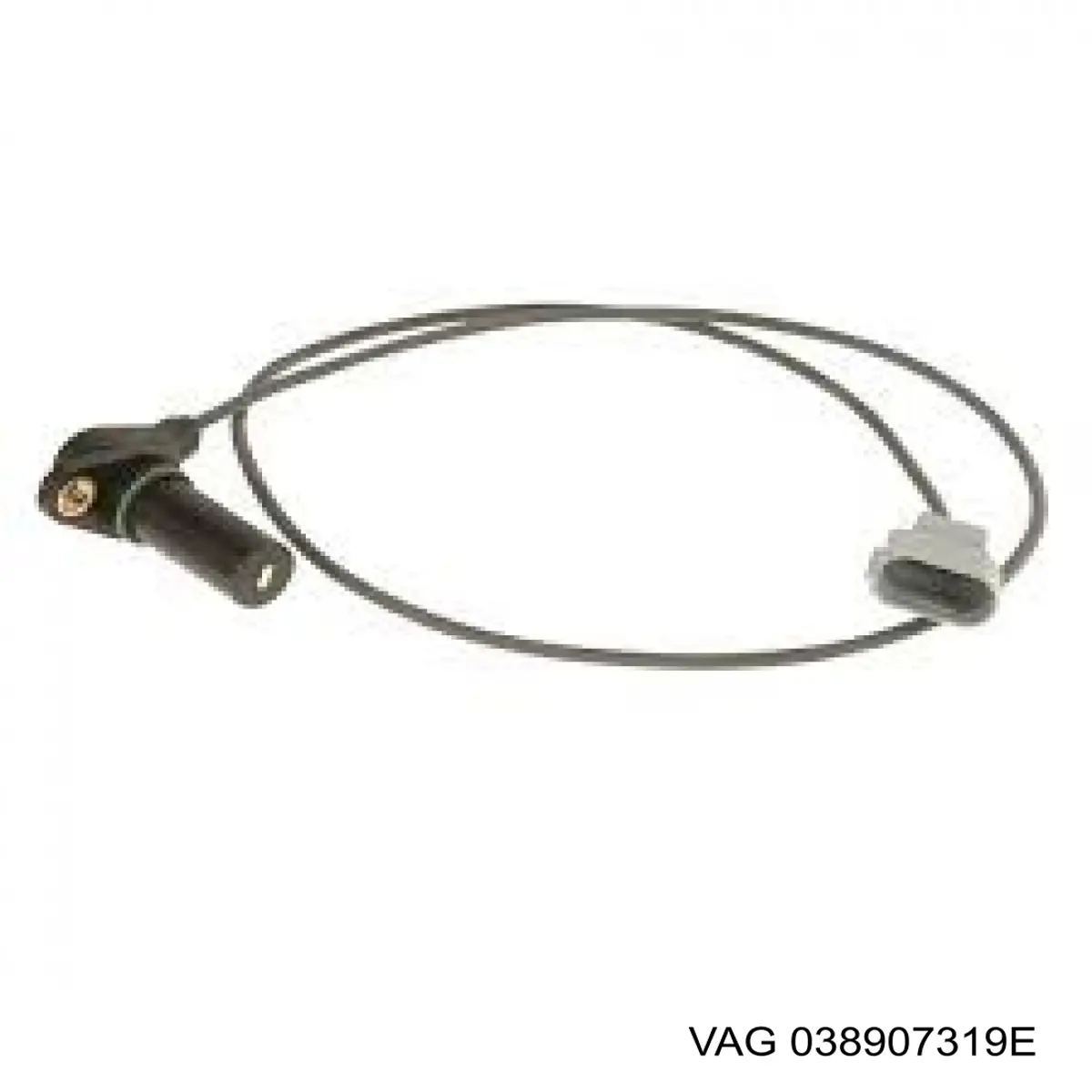 038907319E VAG ДПКВ