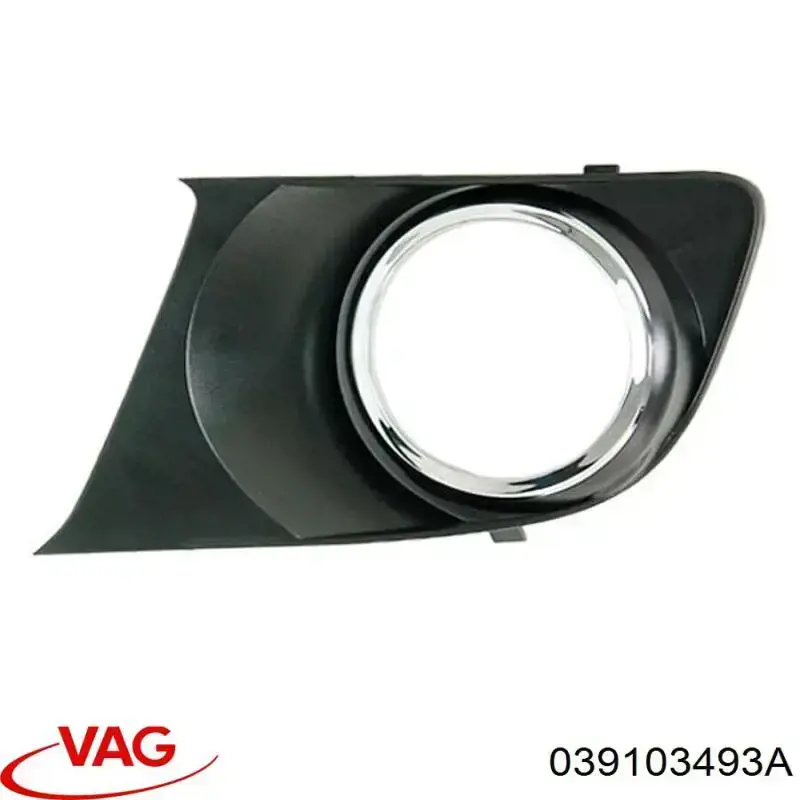  039103493A VAG
