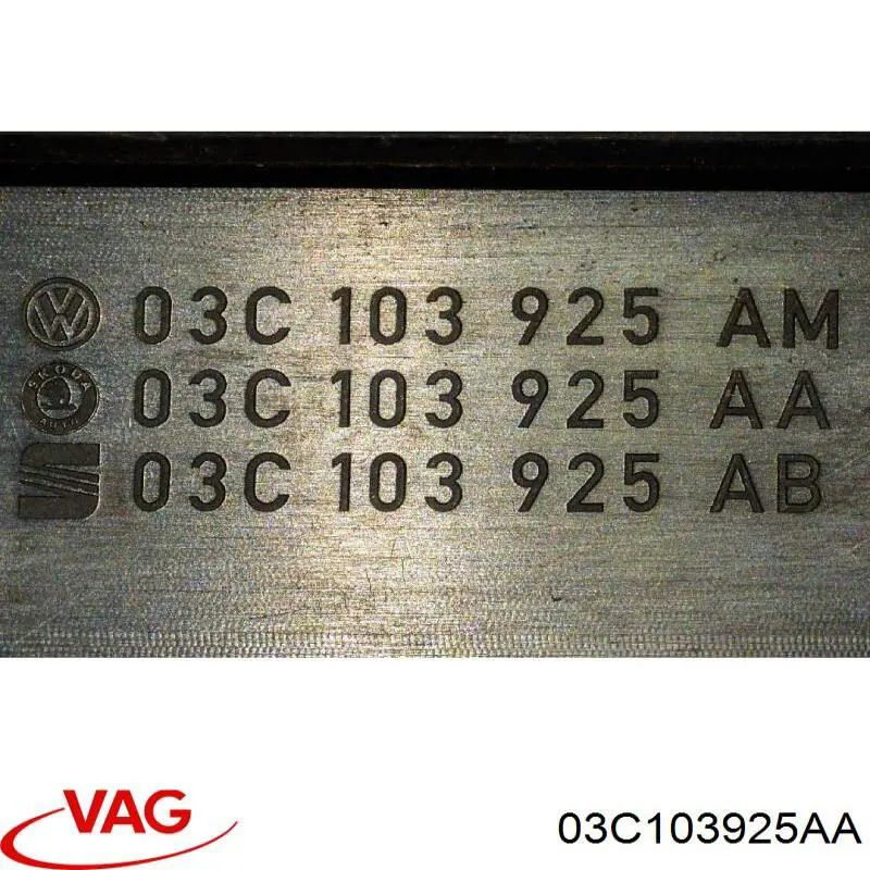 Кришка двигуна декоративна Volkswagen Passat (B7, 365) (Фольцваген Пассат)