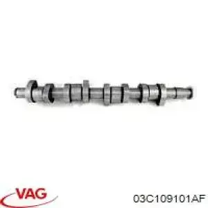 03C109101AF VAG Шток двигуна, випускний
