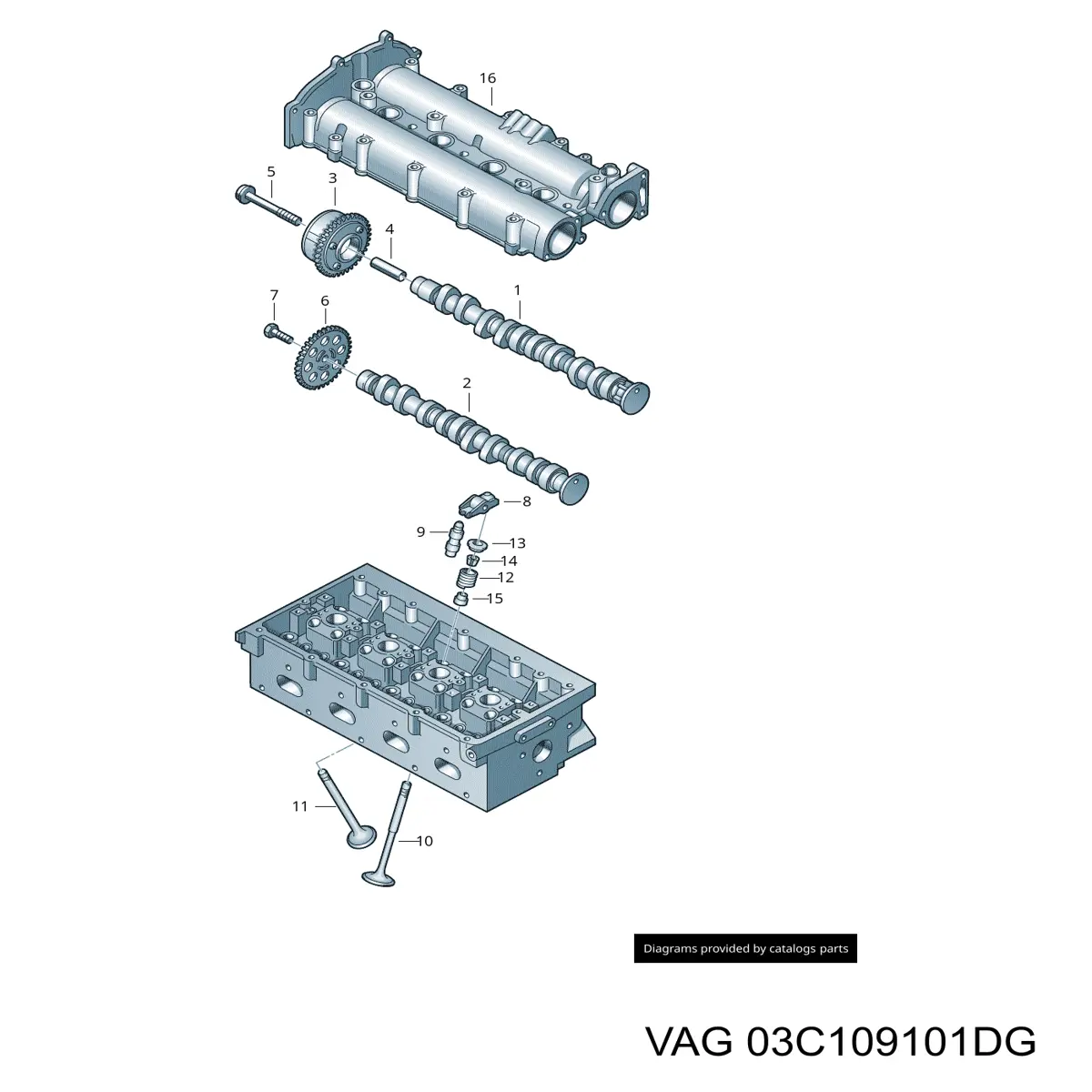 03C109101DG VAG розподільний вал двигуна впускний