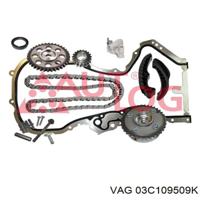 Башмак натягувача ланцюга ГРМ VAG 03C109509K ціна, від 11.59 USD