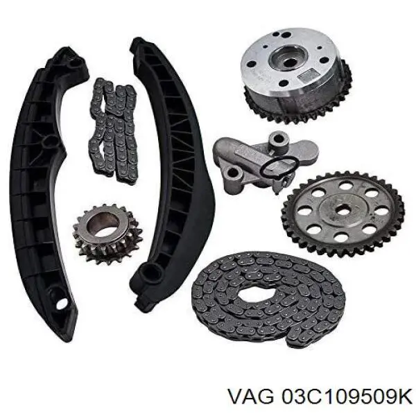 Купити 03C109509K VAG Башмак натягувача ланцюга ГРМ