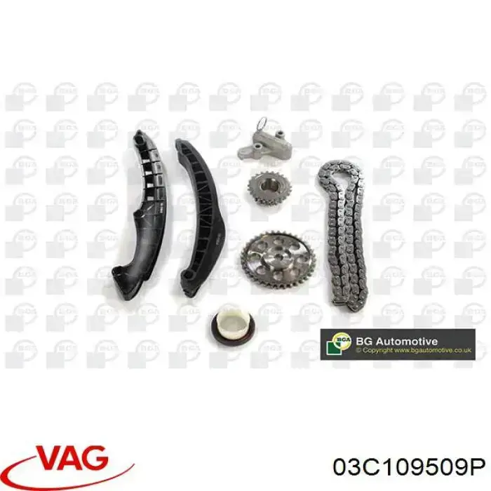Башмак натягувача ланцюга ГРМ VAG 03C109509P