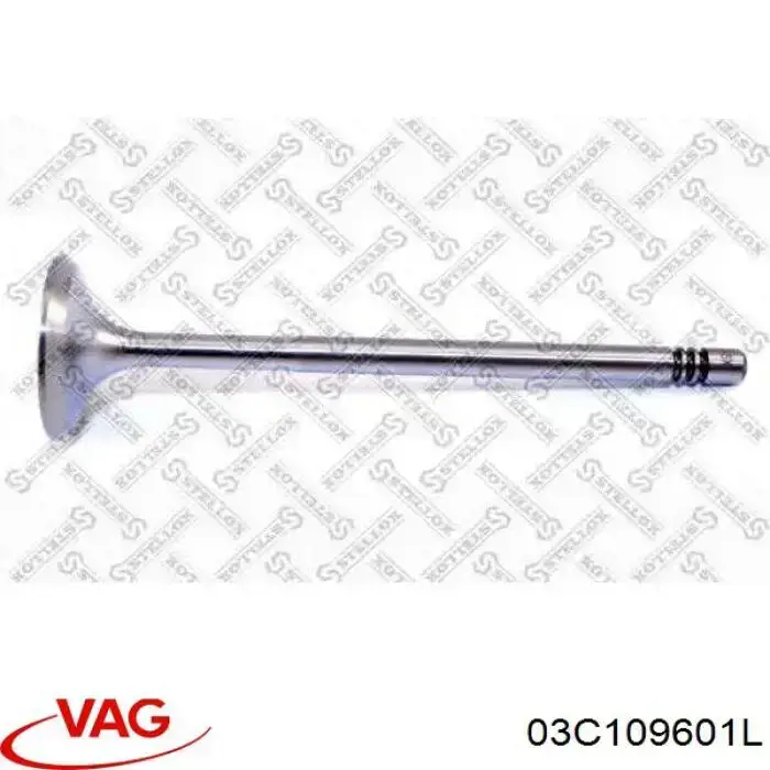 Купити 03C109601L VAG Клапан впускний