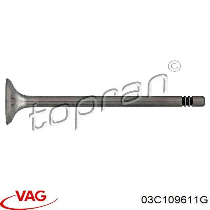 Купити 03C109611G VAG Клапан випускний