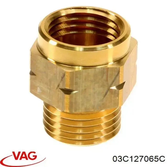Купити 06J127065A VAG Штуцер сполучний ПНВТ на рампу