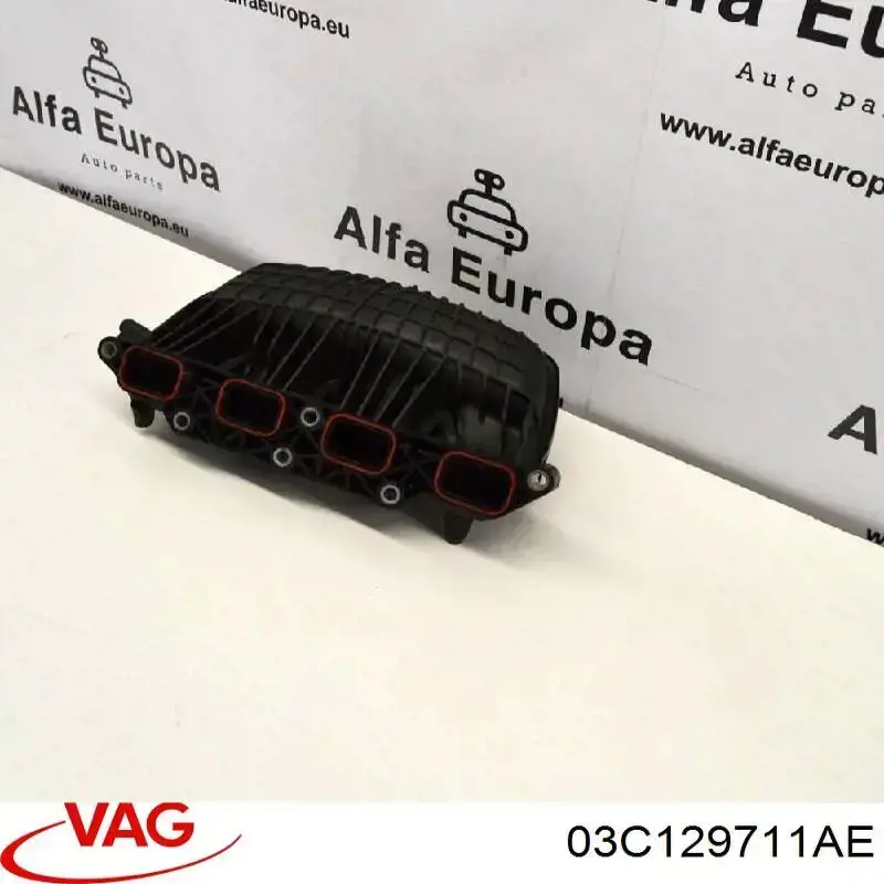Колектор впускний верхній 03C129709BA VAG