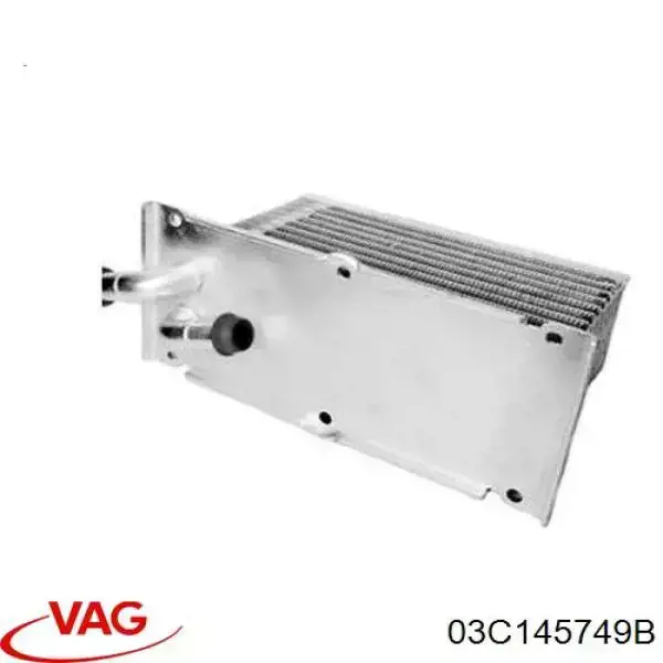 Купити 03C145749B VAG Радіатор масляний