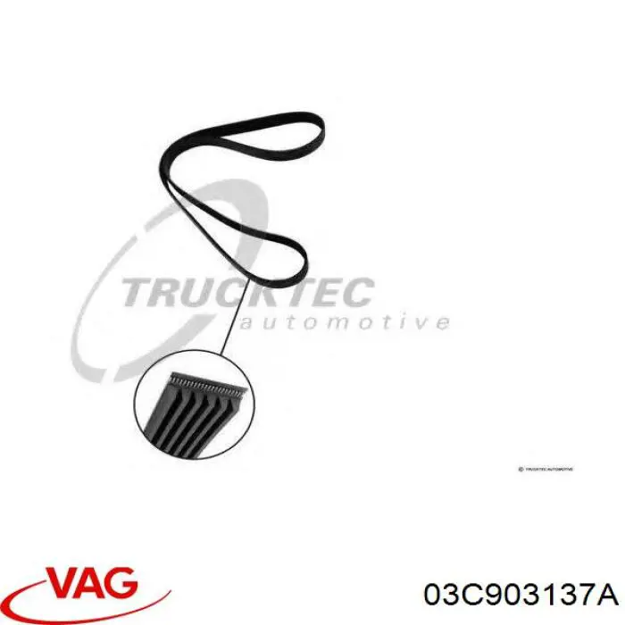 Купити 03C903137A VAG Ремінь генератора