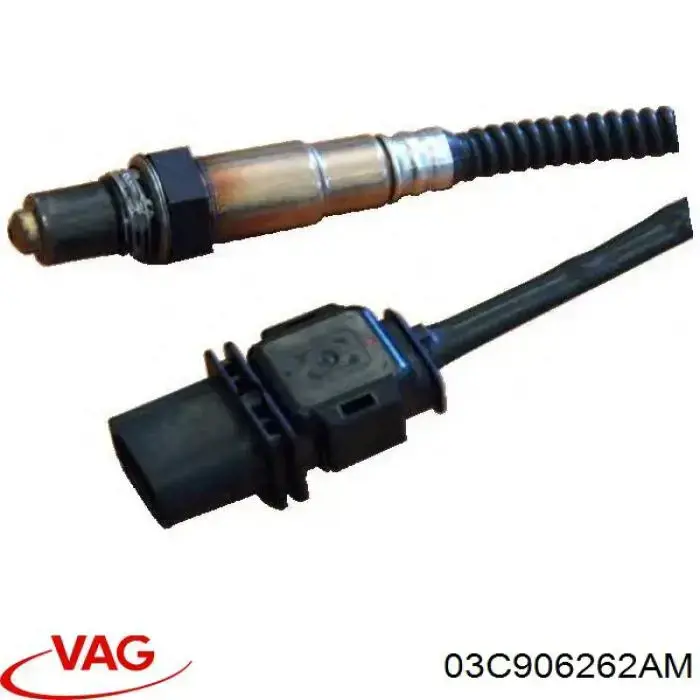 Купити 03C906262AM VAG Лямбдазонд, датчик кисню до каталізатора