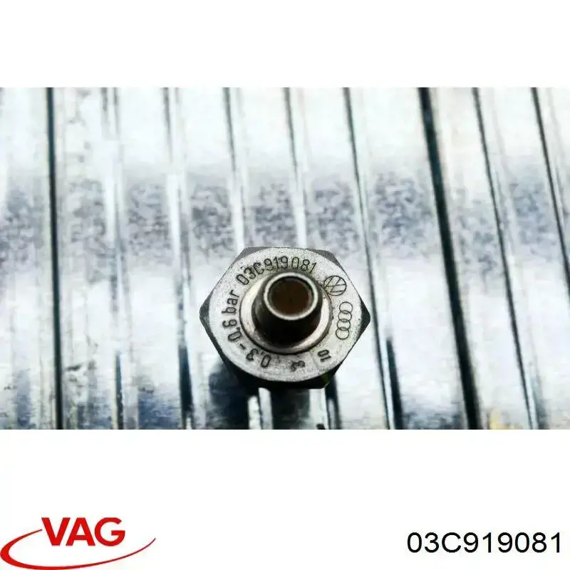 Датчик тиску масла двигуна VAG 03C919081