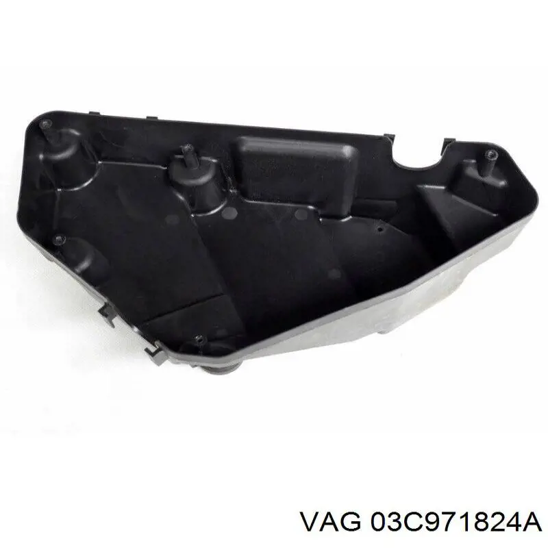  03C971824A VAG