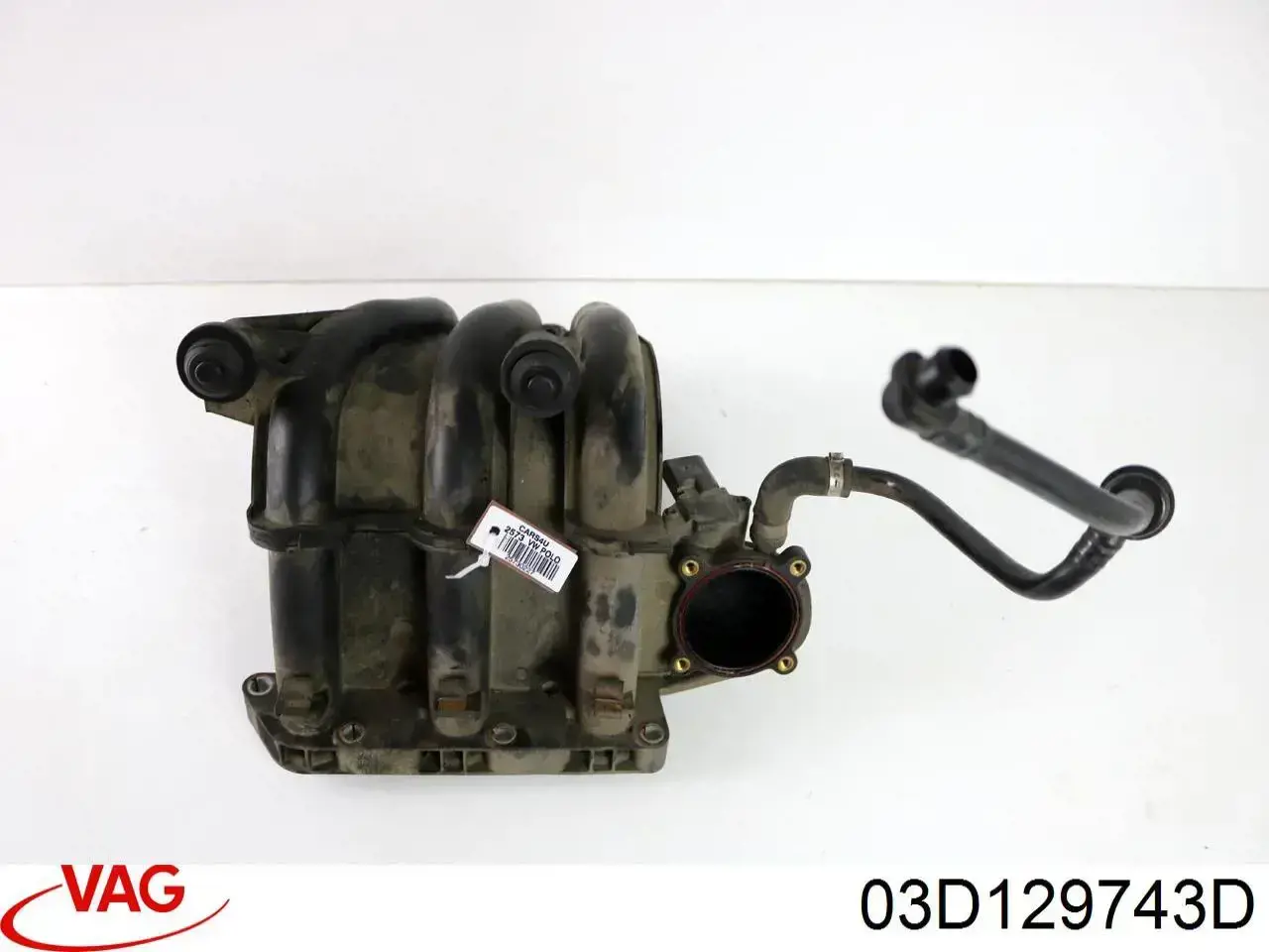 03D129743D VAG 