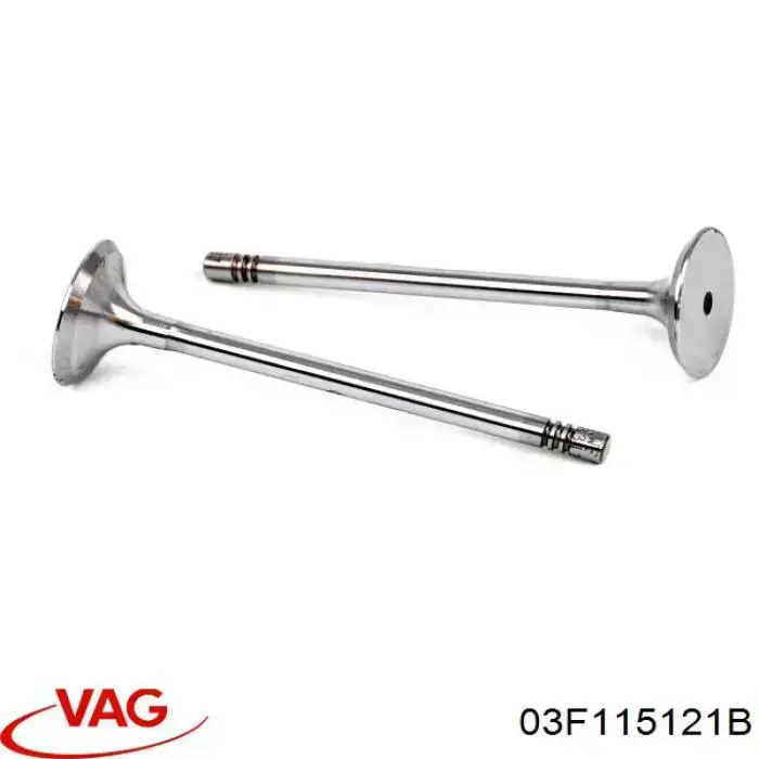  37115006 AND