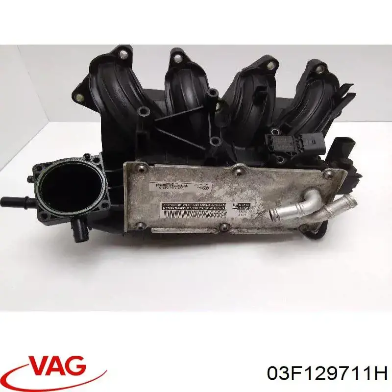 Купити 03F129711H VAG 